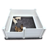 DOZZOPET whelping box overview showing ample space for dam and puppies