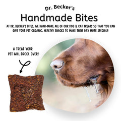 Dr. Becker's Beef Bites beef liver closeup highlights a single-ingredient protein option.