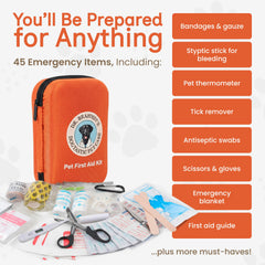 Dr Brahmsy’s carabiner attachment for quick grab-and-go emergencies