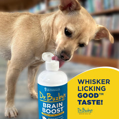 Dr. Buzby's Brain Boost bottle being mixed with dog food during a feeding session.