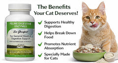 Dr. Goodpet daily digestive powder sprinkled on food eases mealtime mixing.