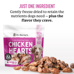 Dr. Harvey's chicken hearts texture close-up—a high-protein, low-fat treat.