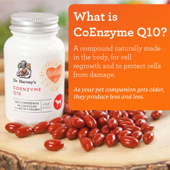 Dr. Harvey's Coenzyme Q10 bottle back view with ingredients and details.