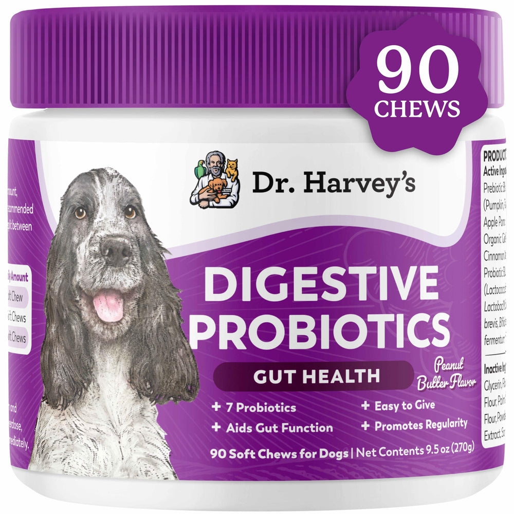 Dr. Harvey's Digestive Probiotic Soft Chews for dogs in peanut butter flavor promote gut balance.