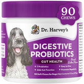 Dr. Harvey's Digestive Probiotic Soft Chews for dogs in peanut butter flavor promote gut balance.