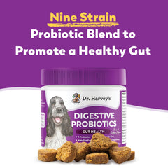 Dr. Harvey's soft chews show texture and prebiotics for digestion.
