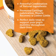 Dr. Harvey's Hip & Joint Soft Chews with chicken flavor for dogs.