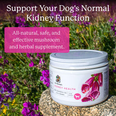 Organic mushroom blend used in Dr. Harvey's Kidney Health for dogs.