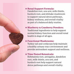 Dr. Harvey’s Kidney Support Soft Chews turkey tail mushroom for daily wellness
