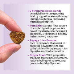 Dr. Harvey's Digestive Probiotic Soft Chews with pumpkin and apple fiber.
