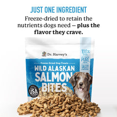 Close-up of crunchy freeze-dried salmon bites from Dr. Harvey's.