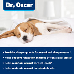 Dr. Oscar Dog Sleep Aid shown with a relaxed dog pose suggesting calmer evenings.