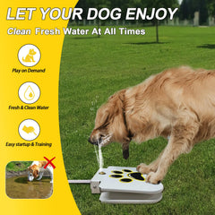 DRAROAD paw activation shows dog stepping to drink from the fountain