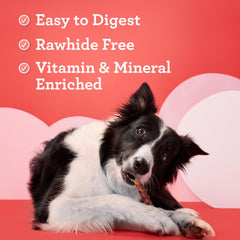 DreamBone High Protein Rolls dog chewing action