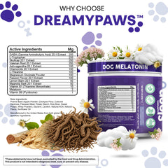 Dreamy Paws beef-chews texture close-up showing soft bite for easy administration.