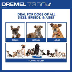 Quiet operation of Dremel 7350-PET reduces pet stress during nail sessions
