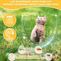 DrFlito cat flea collar waterproof feature during outdoor play