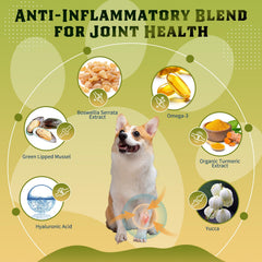 DRFOSTER Digestive enzymes for dogs chews close-up supporting nutrient absorption