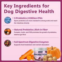 DRFOSTER dog digestive enzymes chews aiding digestion