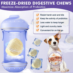 DRFOSTER Probiotics for Dogs bottle open with chews visible for daily use