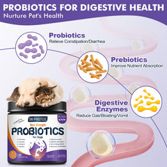 DRFOSTER Probiotics for Dogs chews close-up showing texture and flavor appeal