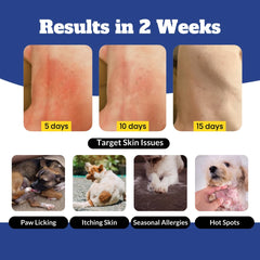 DRMOIS dog allergy chews dry skin focus for moisture balance