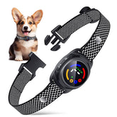 Drroon bark collar on a small dog for gentle training and quieter behavior