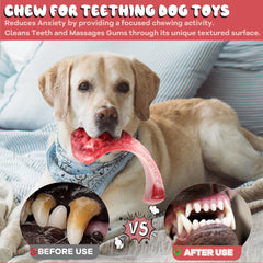 DSUMD Dishwasher-safe dog toy for quick, easy cleaning after play.