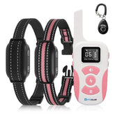 DTCollar 2-dog bark collar with remote used during outdoor training