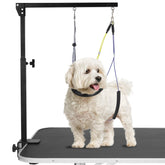 Duckygoo grooming arm clamp on table offering stable restraint during grooming sessions.