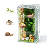 Duluvop Jumping Spider Enclosure viewed clearly for easy observation of tiny pets