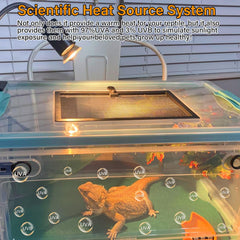 DUMILOO 50W UVA UVB bulbs provide sun-like exposure for activity and mood.