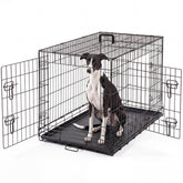 DUMOS 36-inch double-door dog crate for easy entry and ventilation.