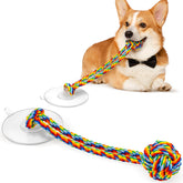 Duocharm rainbow tug-base, secure play surface for safe indoor tug games.