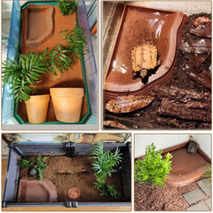 DUOYUZHIYU ABS material bowl is durable, safe, and easy to clean after use.