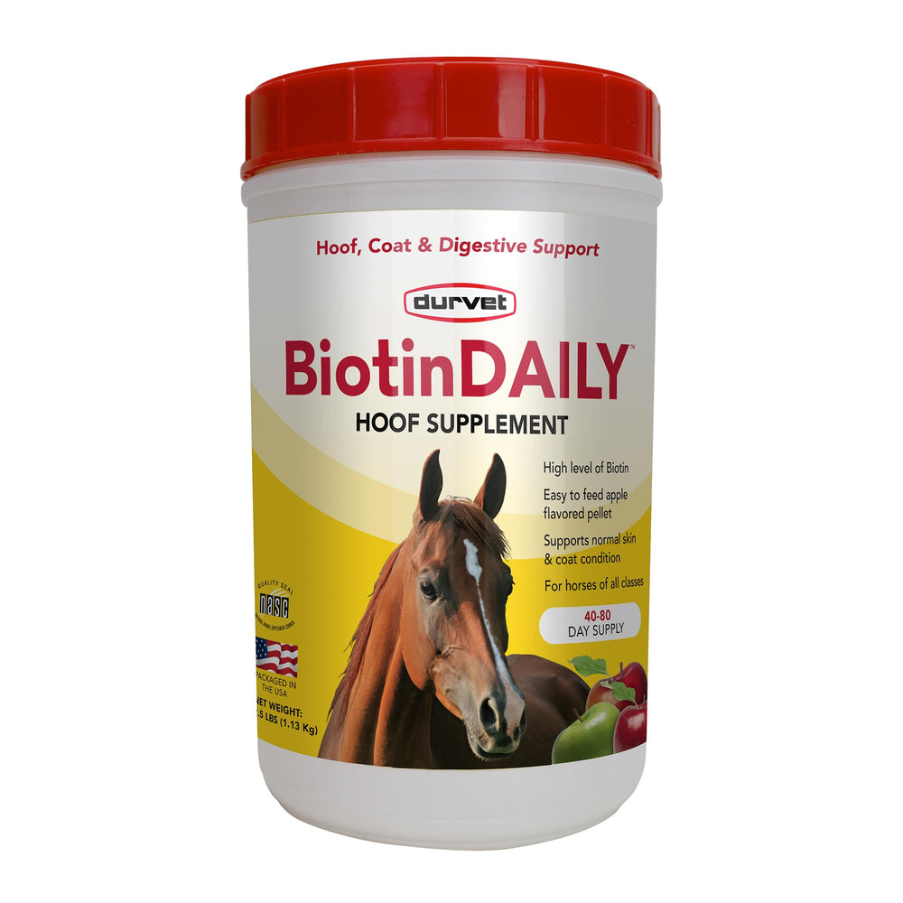 Durvet Biotin Daily Hoof Care jar for easy daily hoof support.