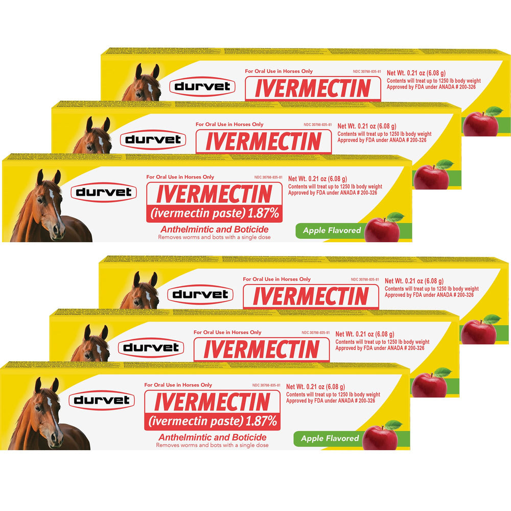 Durvet Ivermectin Paste package with apple flavor for horses, easy single-dose administration.