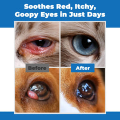 DURVMED Eye Care Cream around eyes supports cleanliness for multiple pets