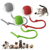 DVHNMK Chewie 360 ball in top view for engaging indoor play.