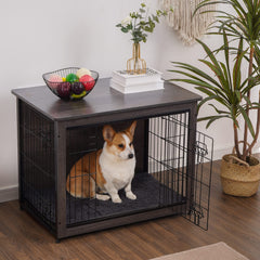 Dwanton crate interior with cushion offers cozy naps for dogs.