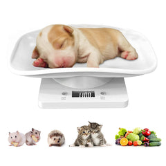 DWSFADA reptile weight scale with compact tray for small pets, precise gram measurements.
