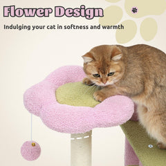 DWVO Cat Condo multi-level design for cozy naps and safe exploration