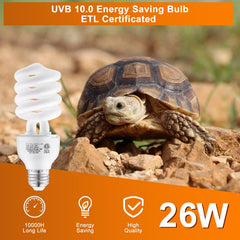 DXOPHIEX E26-compatible reptile light enables easy installation.