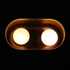 DXOPHIEX reptile light fixture independent switches enable customizable warmth.