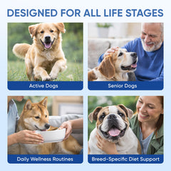 DXWXH Doggy Supps Taurine for all sizes supports balanced canine nutrition