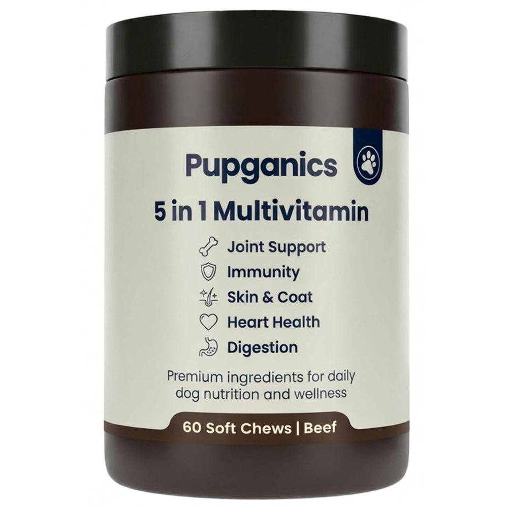DYDUON Pupganics daily soft chews bottle supports canine vitality and overall wellness.