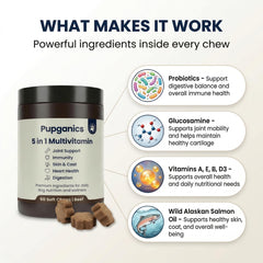 DYDUON Pupganics hip joint support chews aid mobility for active dogs.