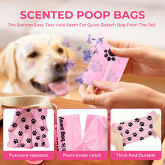 Dyforce leak-proof bags close-up showing durable, leak-resistant design