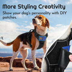 Eagloo harness back ring supports calm daily walks for large dogs