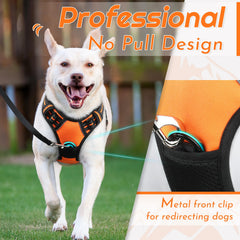 Eagloo large harness chest ring supports heel training and reduces pulling.
